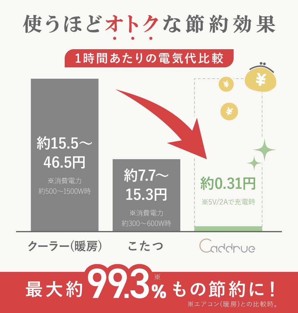 ふわとろ電気毛布