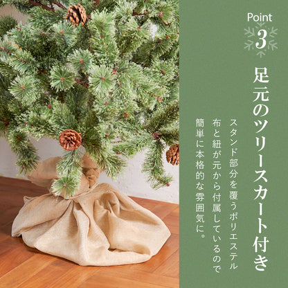 クリスマスツリー