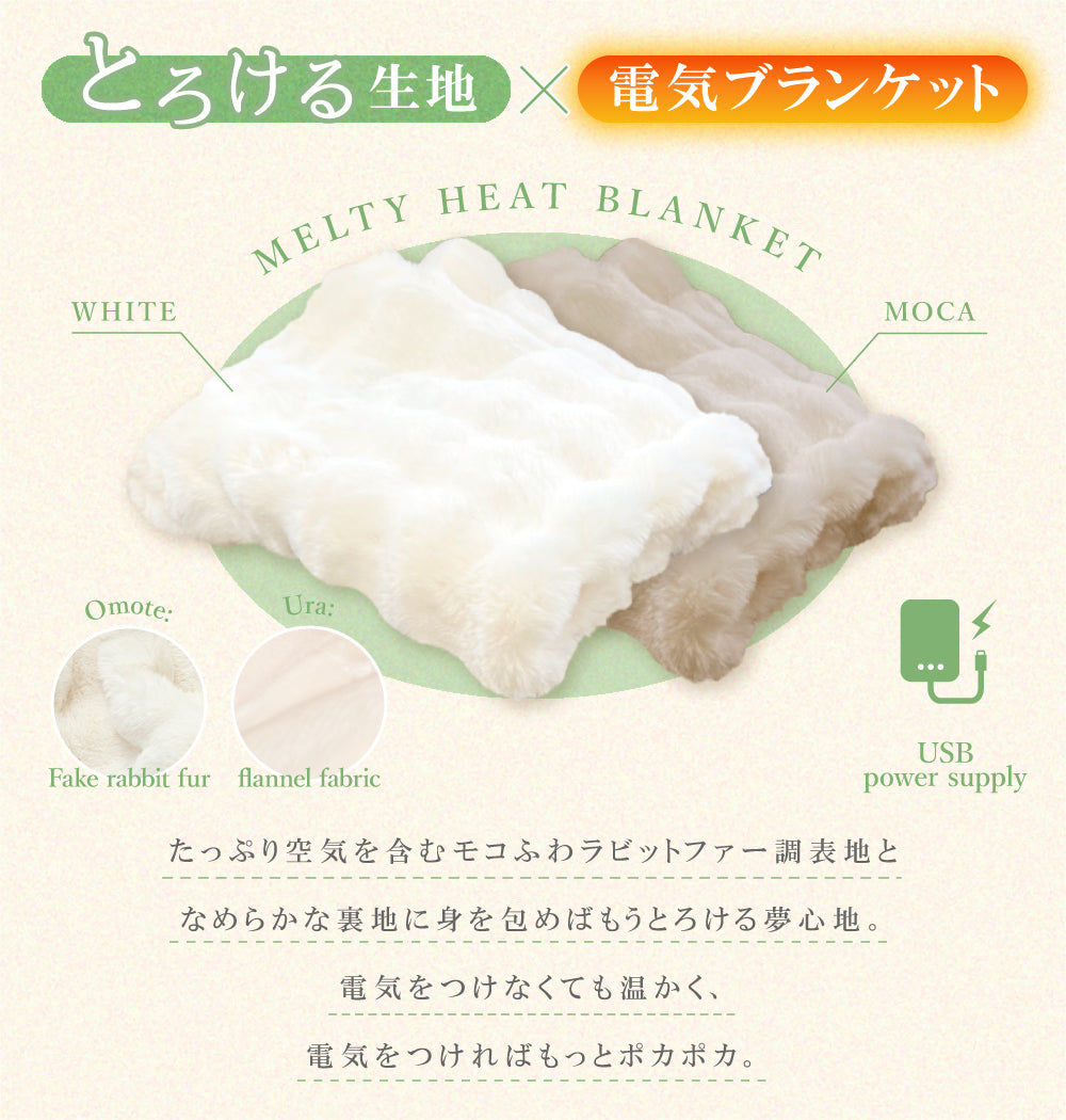 Caddrue】 ふわとろ電気毛布 [モカ/ホワイト] – e-kit