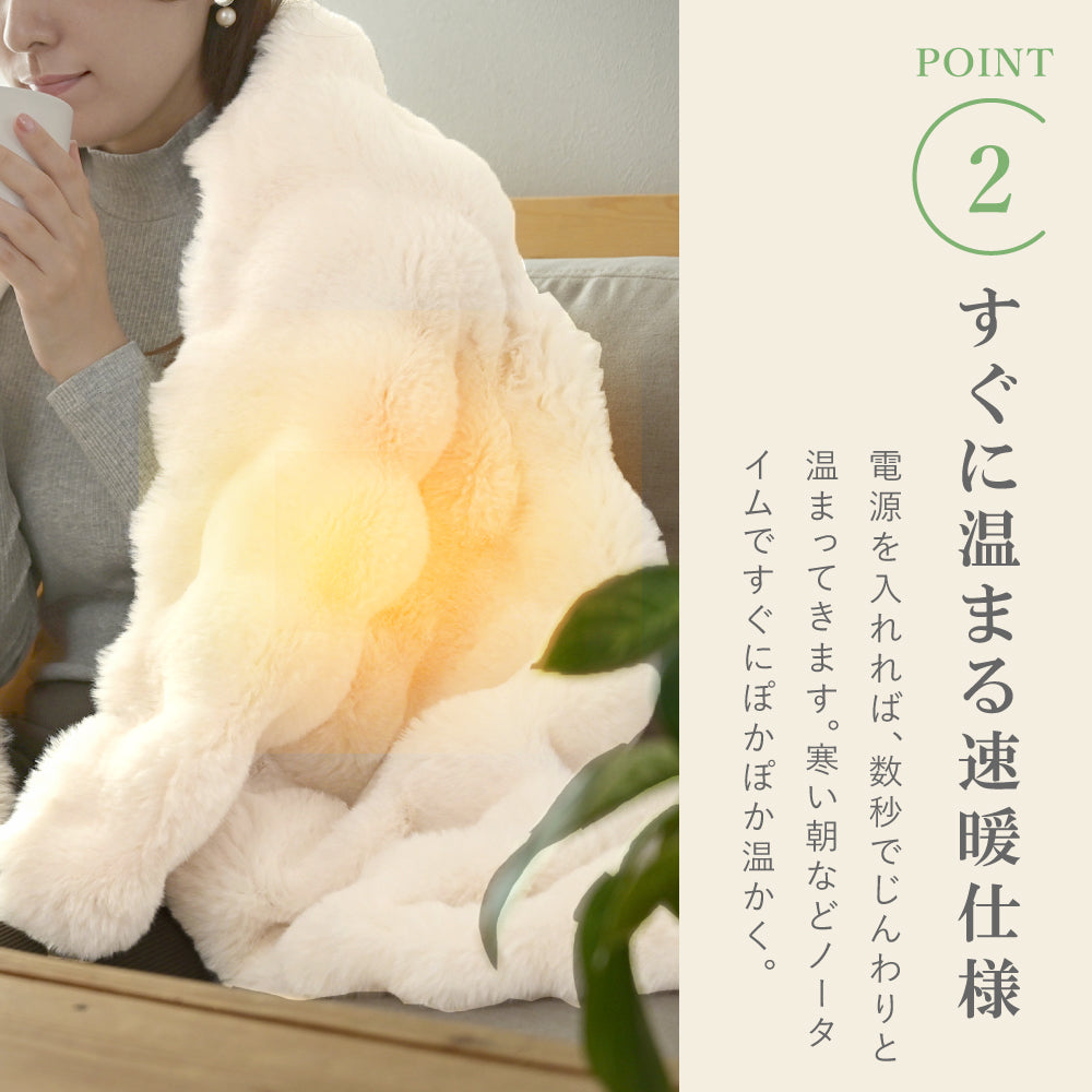 Caddrue】 ふわとろ電気毛布 [モカ/ホワイト] – e-kit